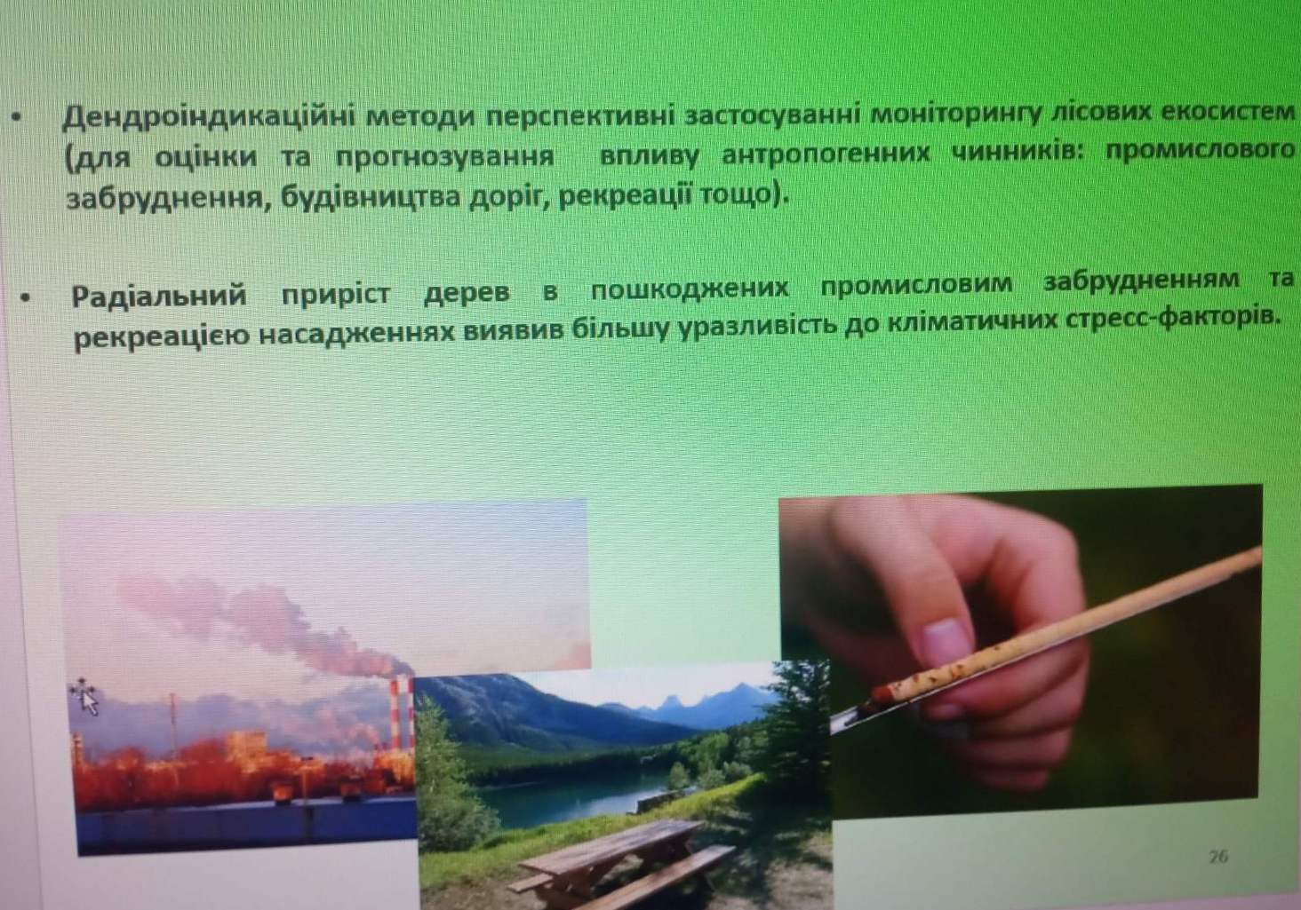 Ілюстрація дендроіндикаційних методів.jpg